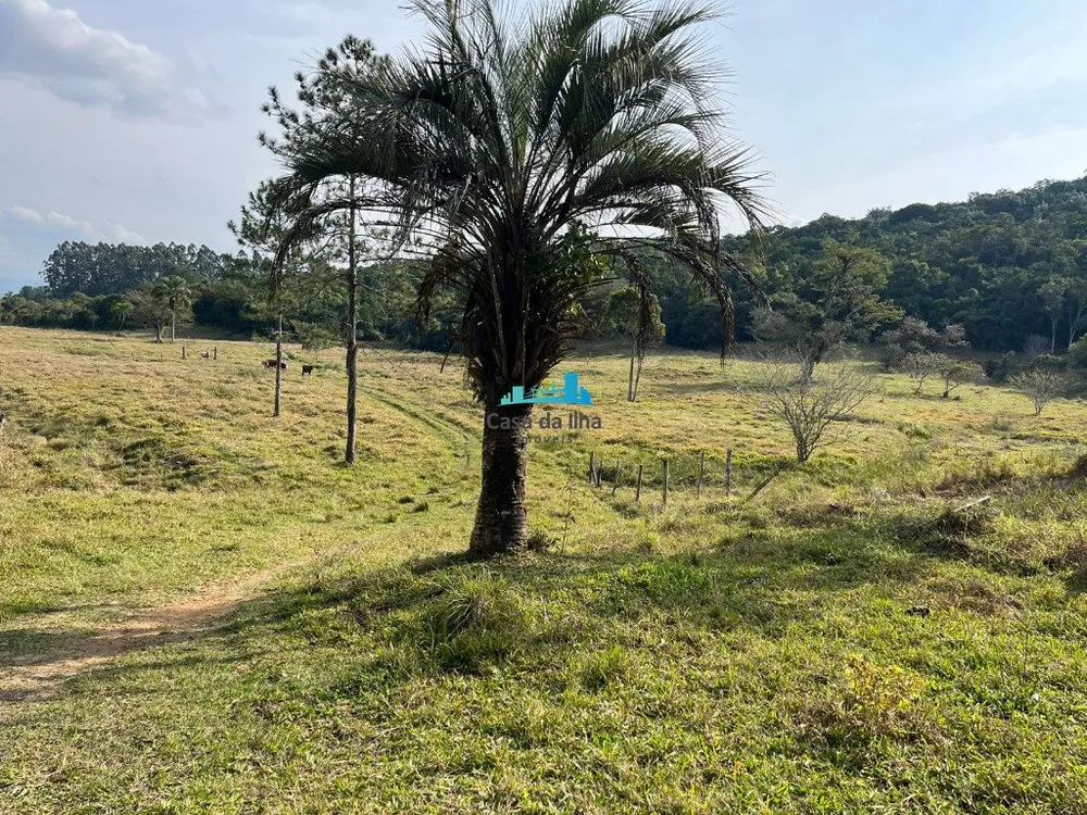Terreno, 53 hectares - Foto 10