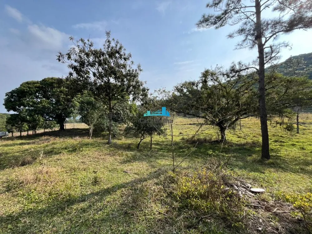 Terreno, 53 hectares - Foto 4