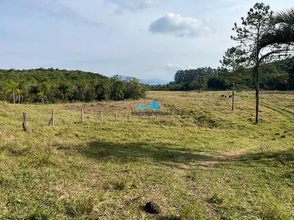 Terreno, 53 hectares - Foto 1