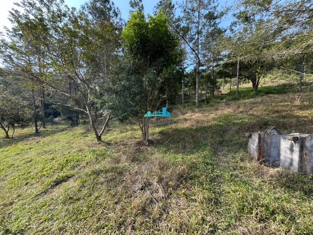 Terreno, 53 hectares - Foto 5