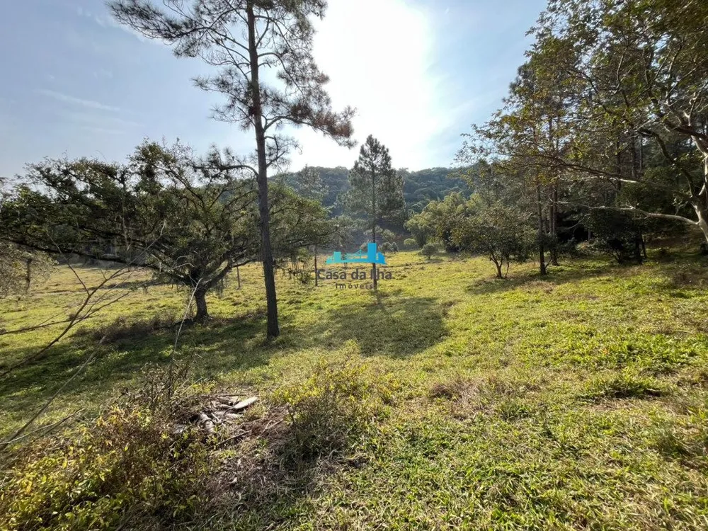 Terreno, 53 hectares - Foto 3