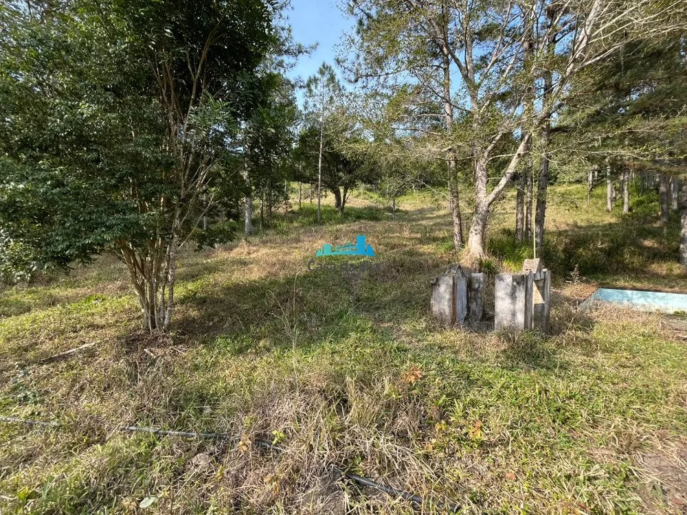 Terreno, 53 hectares - Foto 8
