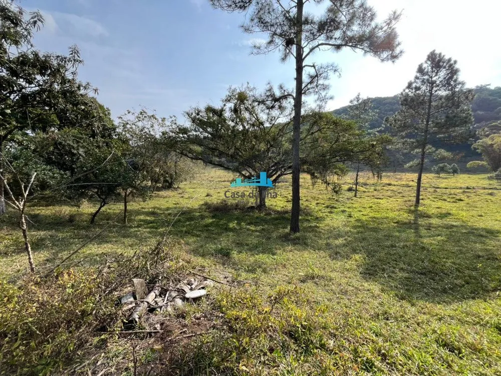 Terreno, 53 hectares - Foto 7