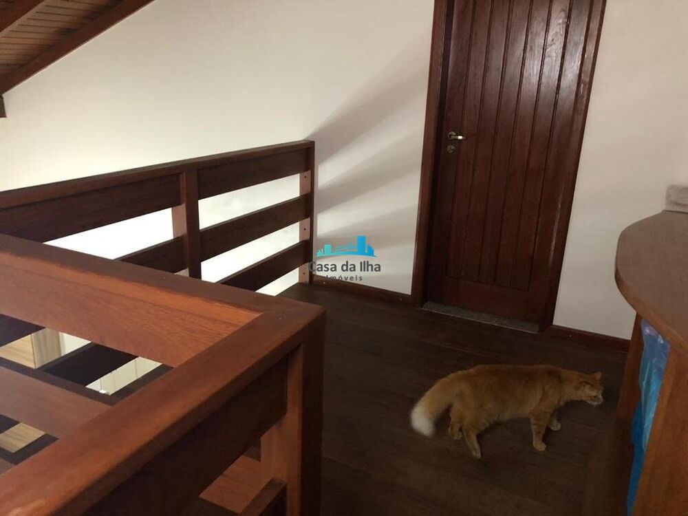 Casa, 3 quartos, 250 m² - Foto 10