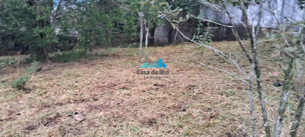 Terreno, 720 m² - Foto 7