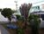Casa Comercial, 129 m² - Foto 3