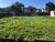 Terreno, 744 m² - Foto 2