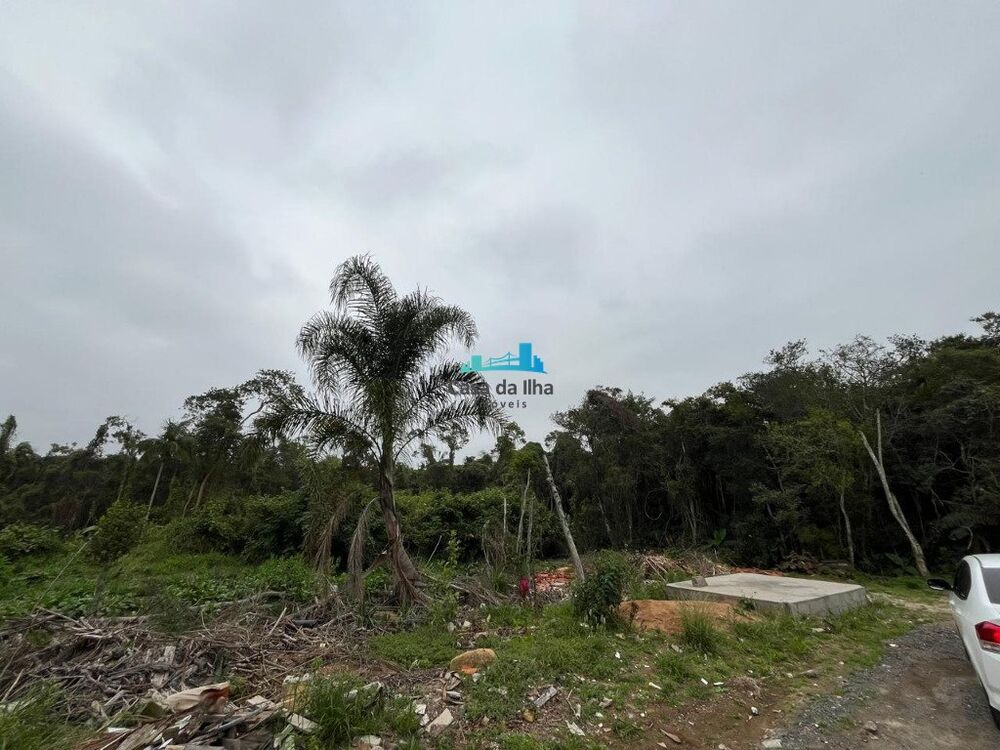 Terreno, 8 hectares - Foto 3