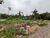 Terreno, 8 hectares - Foto 1