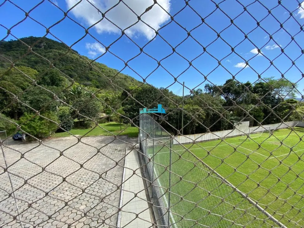 Terreno, 6000 m² - Foto 5