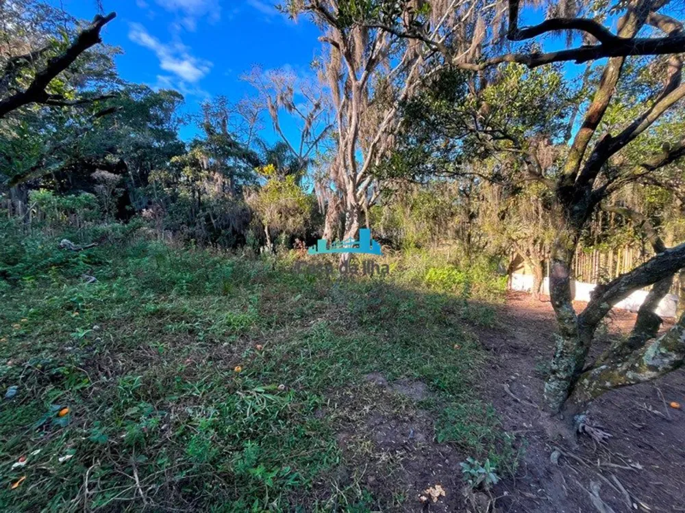 Terreno, 3300 m² - Foto 4