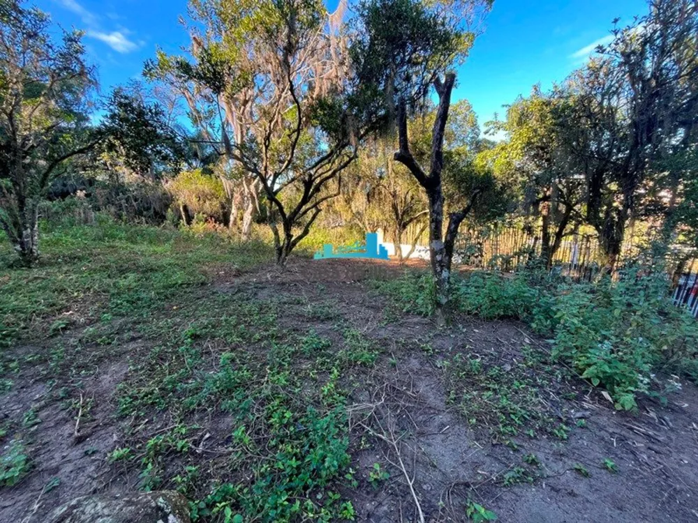 Terreno, 3300 m² - Foto 5