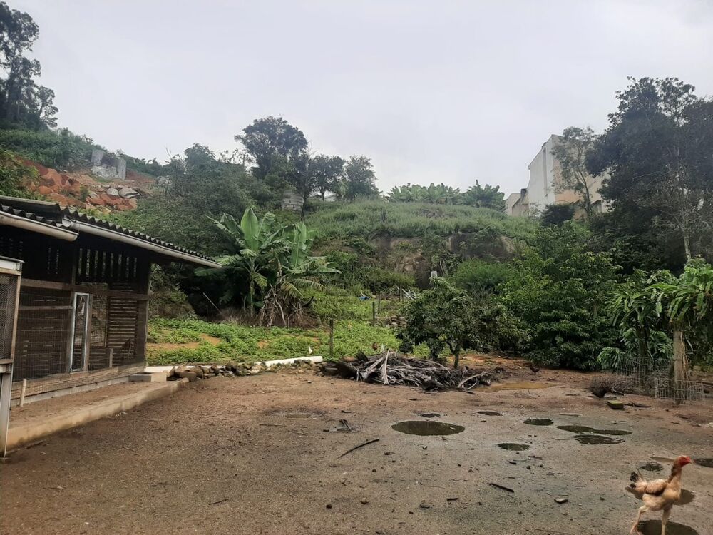 Terreno, 3800 m² - Foto 6