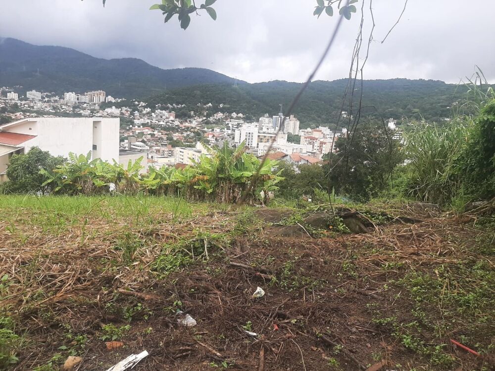 Terreno, 3800 m² - Foto 4