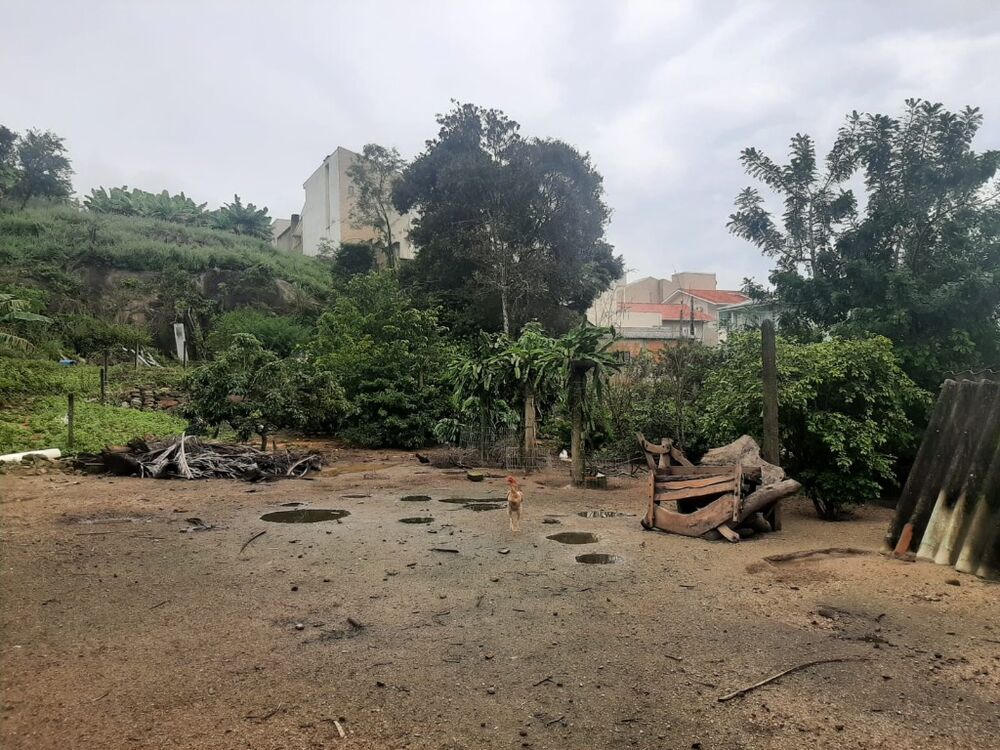 Terreno, 3800 m² - Foto 5