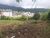Terreno, 3800 m² - Foto 4