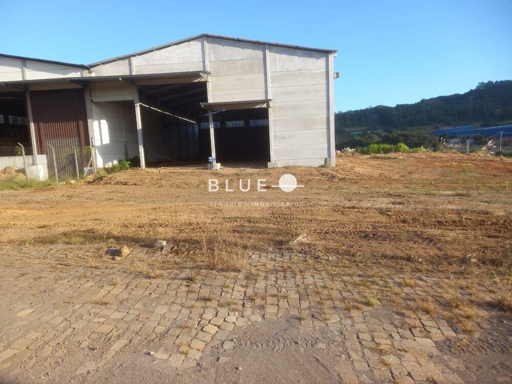 Depósito-Galpão-Armazém à venda, 1000m² - Foto 2