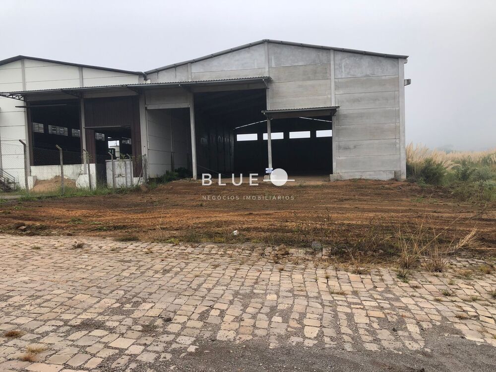 Depósito-Galpão-Armazém à venda, 1000m² - Foto 4