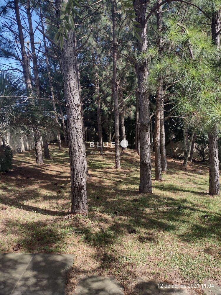 Casa, 4 quartos, 317 m² - Foto 3