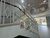 Sala-Conjunto, 44 m² - Foto 3