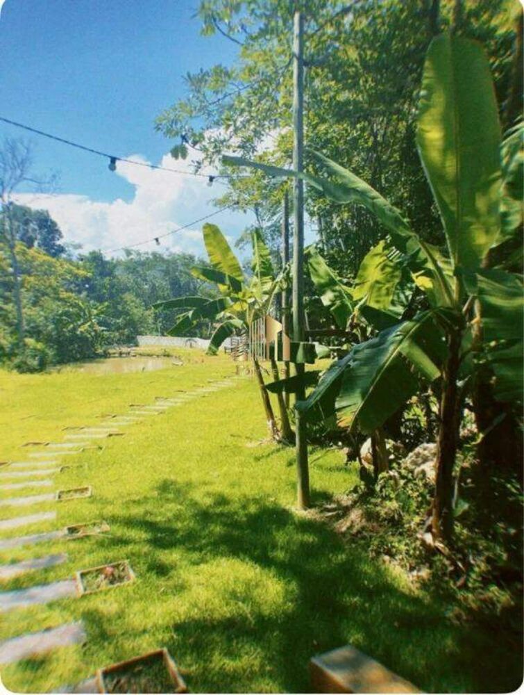 Chácara, 2 quartos, 3800 m² - Foto 4