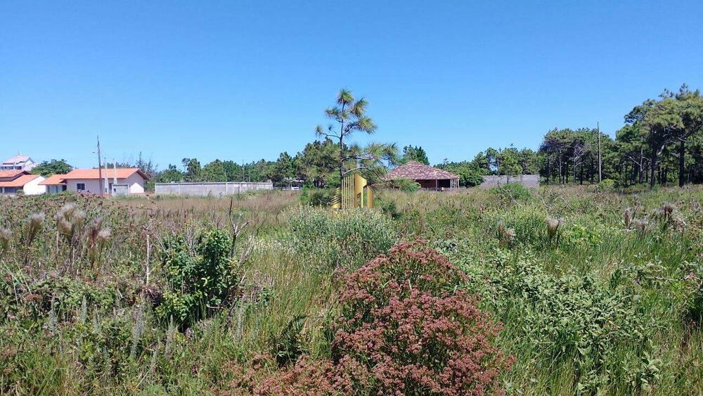 Terreno, 390 m² - Foto 2