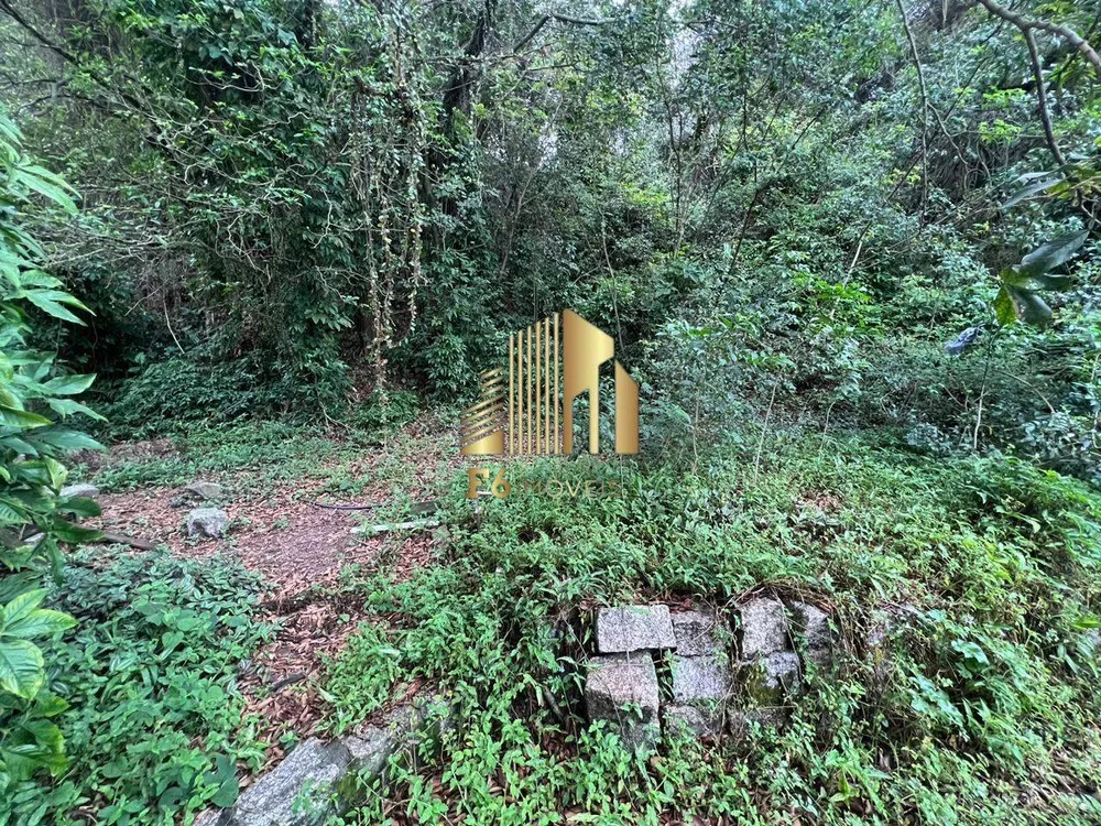 Casa, 4 quartos, 241 m² - Foto 23