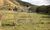 Fazenda-Sítio-Chácara, 1067 m² - Foto 1