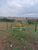 Fazenda-Sítio-Chácara, 53 m² - Foto 3