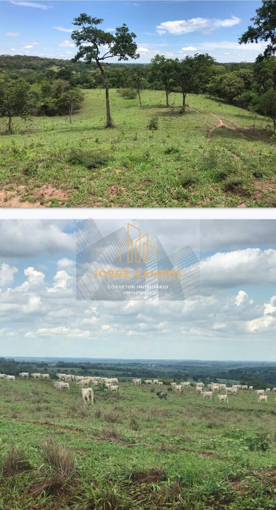 Fazenda, 83 m² - Foto 5