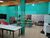Chácara, 4 quartos, 4 hectares - Foto 4