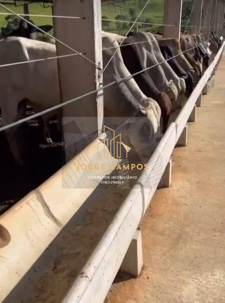 Fazenda, 107 m² - Foto 16