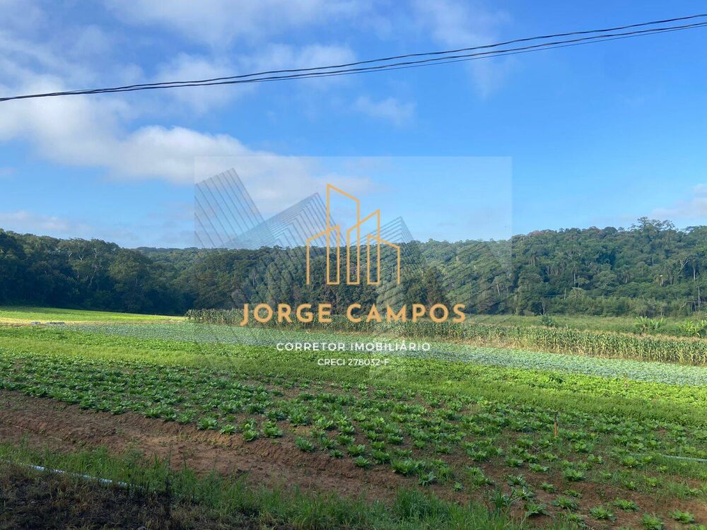 Terreno, 19 hectares - Foto 3