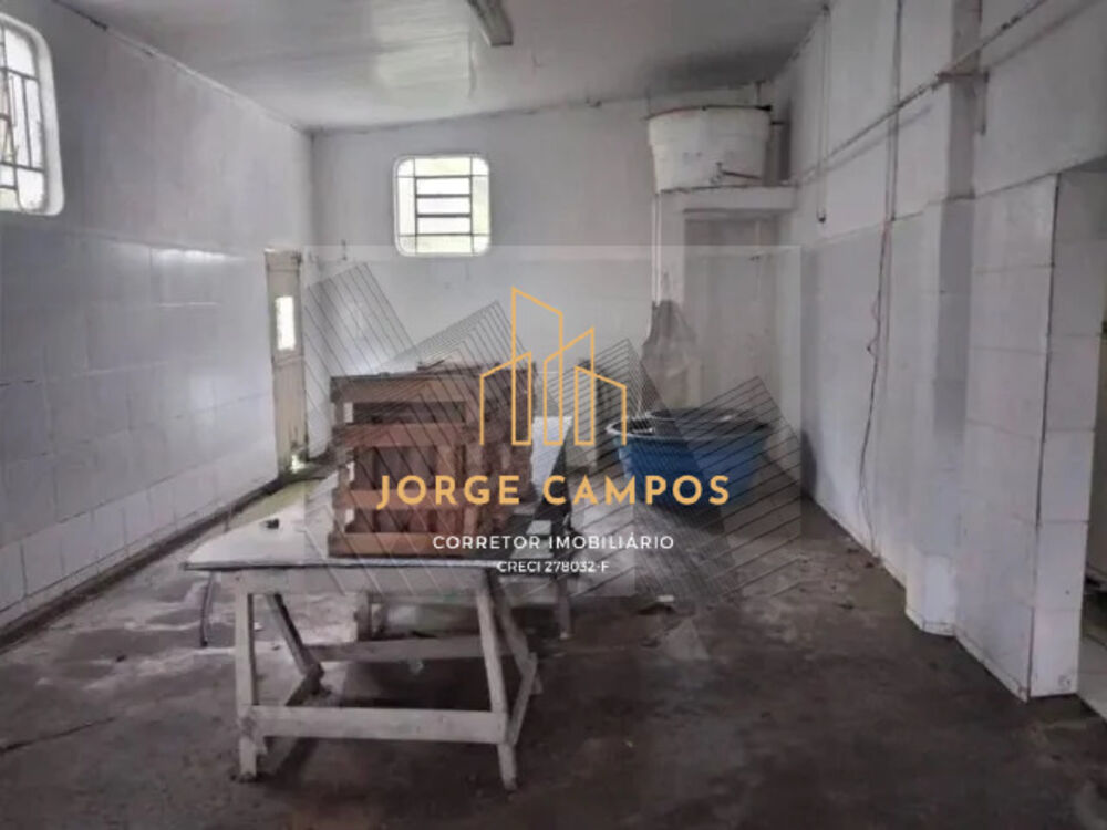 Fazenda à venda com 2 quartos, 204m² - Foto 9