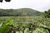 Fazenda, 204 m² - Foto 1