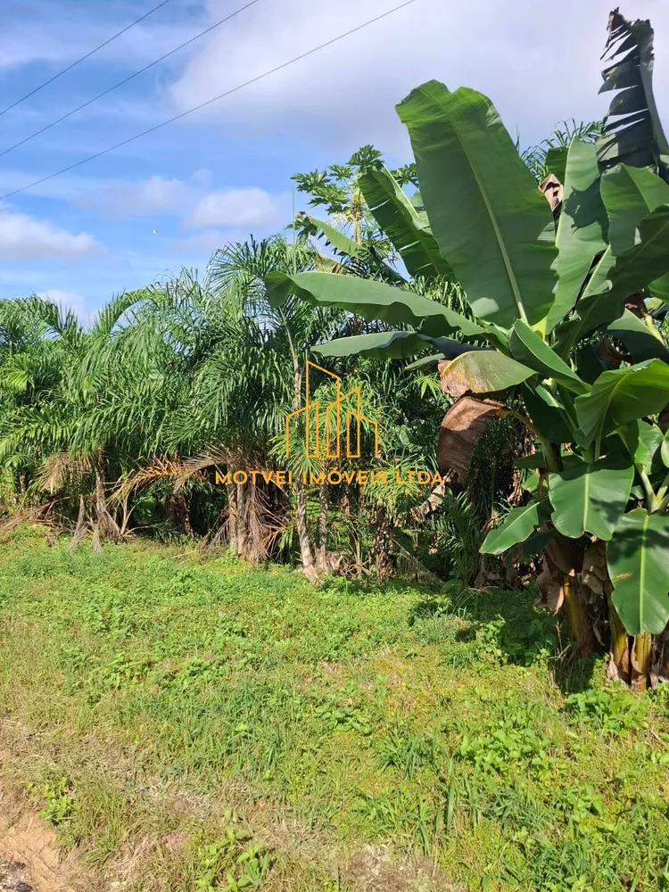 Fazenda, 250 m² - Foto 12