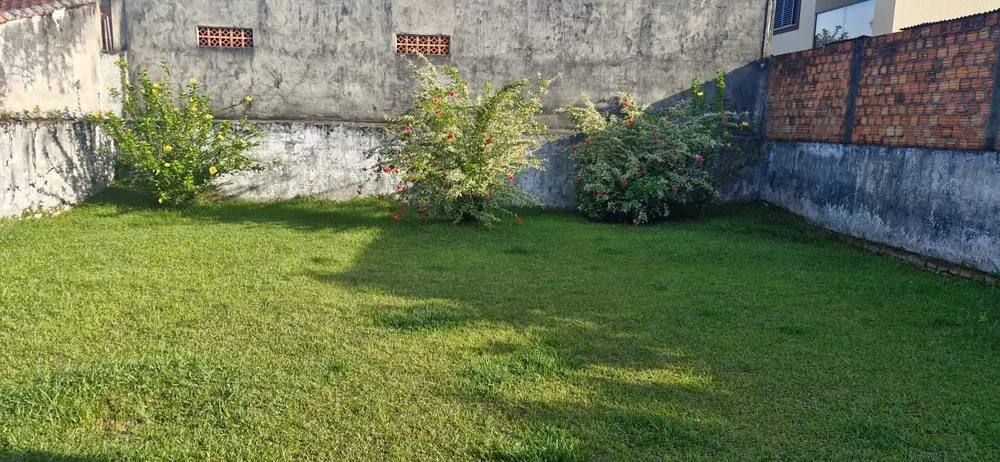 Apartamento, 3 quartos - Foto 4