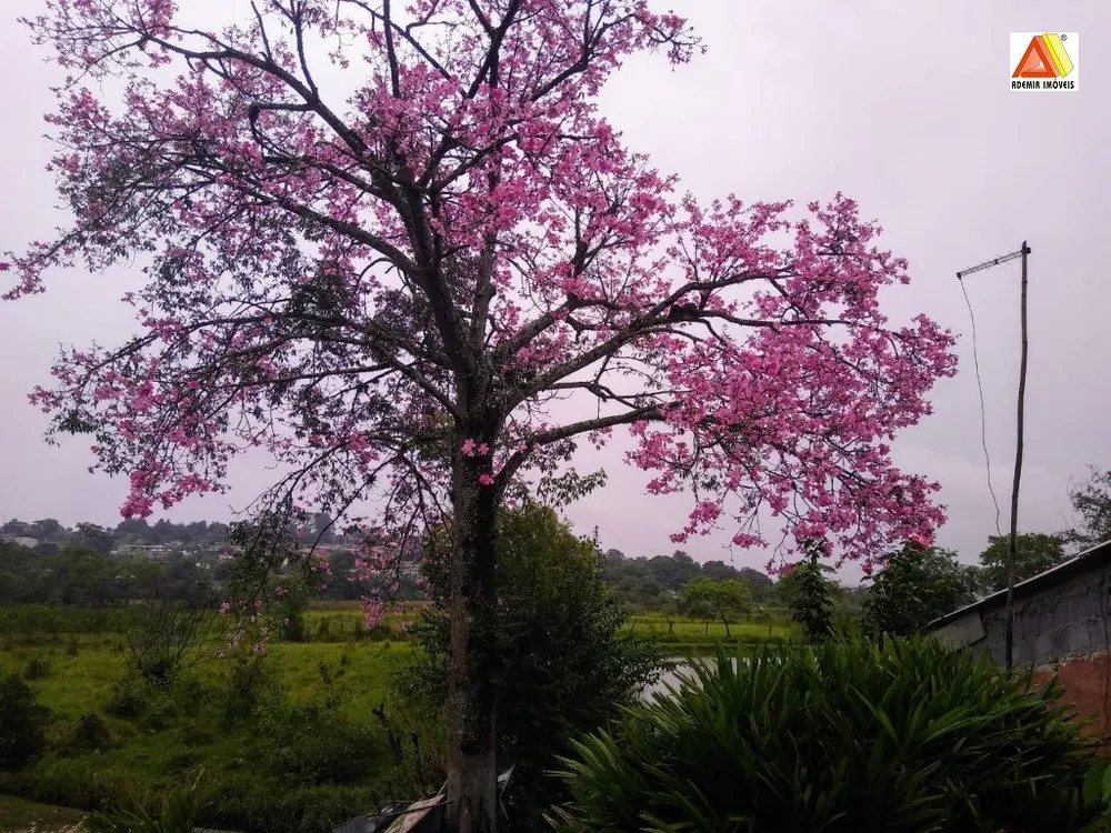 Chácara à venda com 3 quartos, 23000 - Foto 14