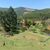 Sítio, 2 quartos, 2 hectares - Foto 1