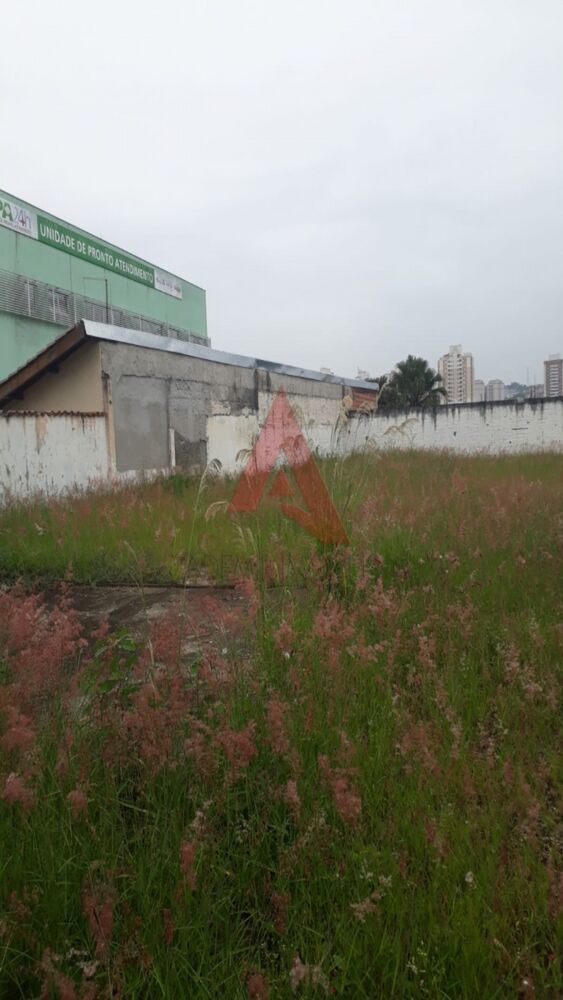 Terreno à venda e aluguel, 1050 - Foto 4