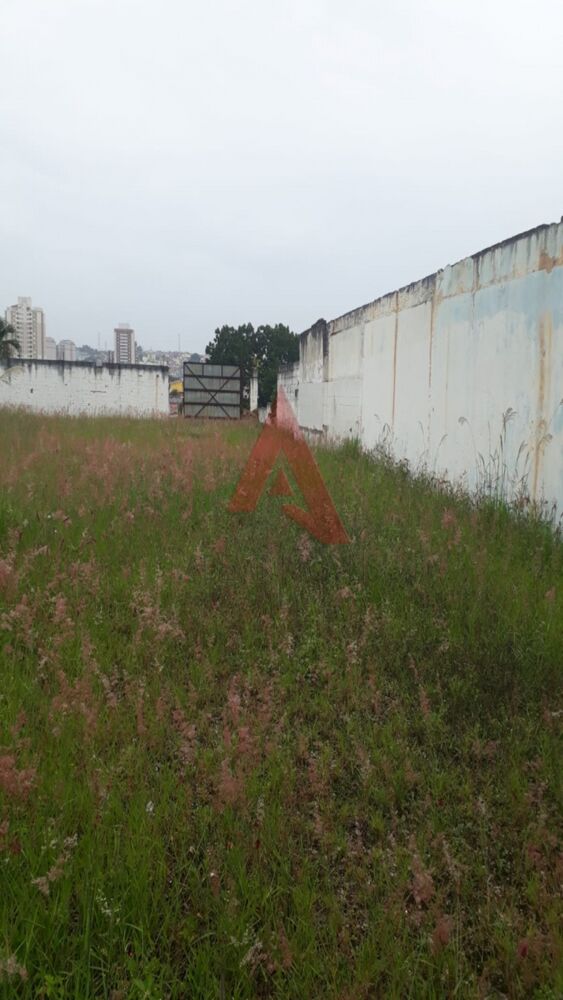 Terreno à venda e aluguel, 1050 - Foto 1