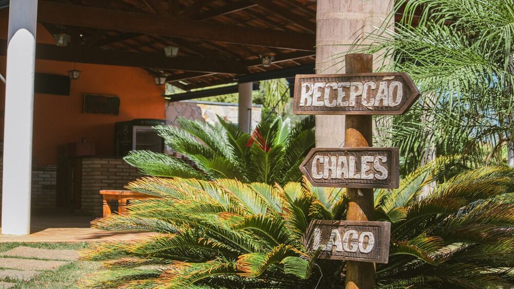 Chácara, 12 quartos, 4 hectares - Foto 4