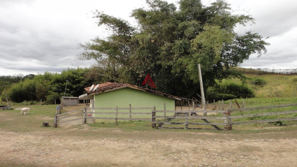 Fazenda, 40 hectares - Foto 3