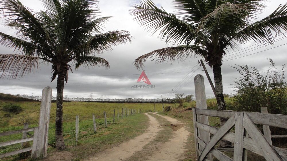 Fazenda, 40 hectares - Foto 1