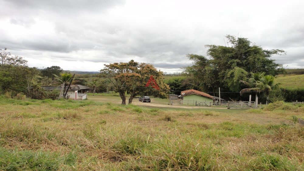 Fazenda, 40 hectares - Foto 4