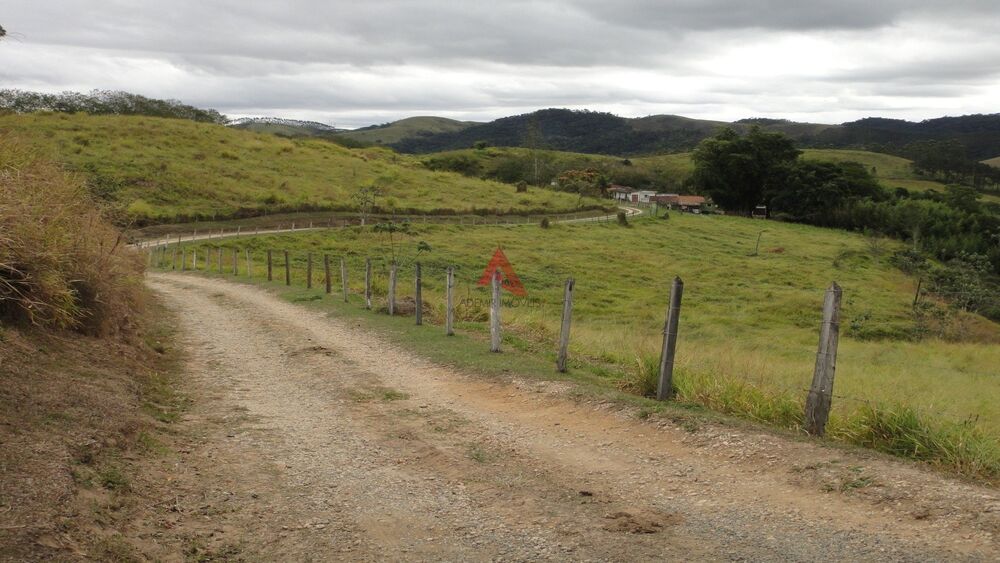 Fazenda, 40 hectares - Foto 2