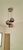 Apartamento, 2 quartos, 55 m² - Foto 17