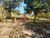 Terreno, 1300 m² - Foto 2