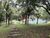 Chácara, 4 quartos, 2 hectares - Foto 14