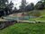 Chácara, 4 quartos, 2 hectares - Foto 9